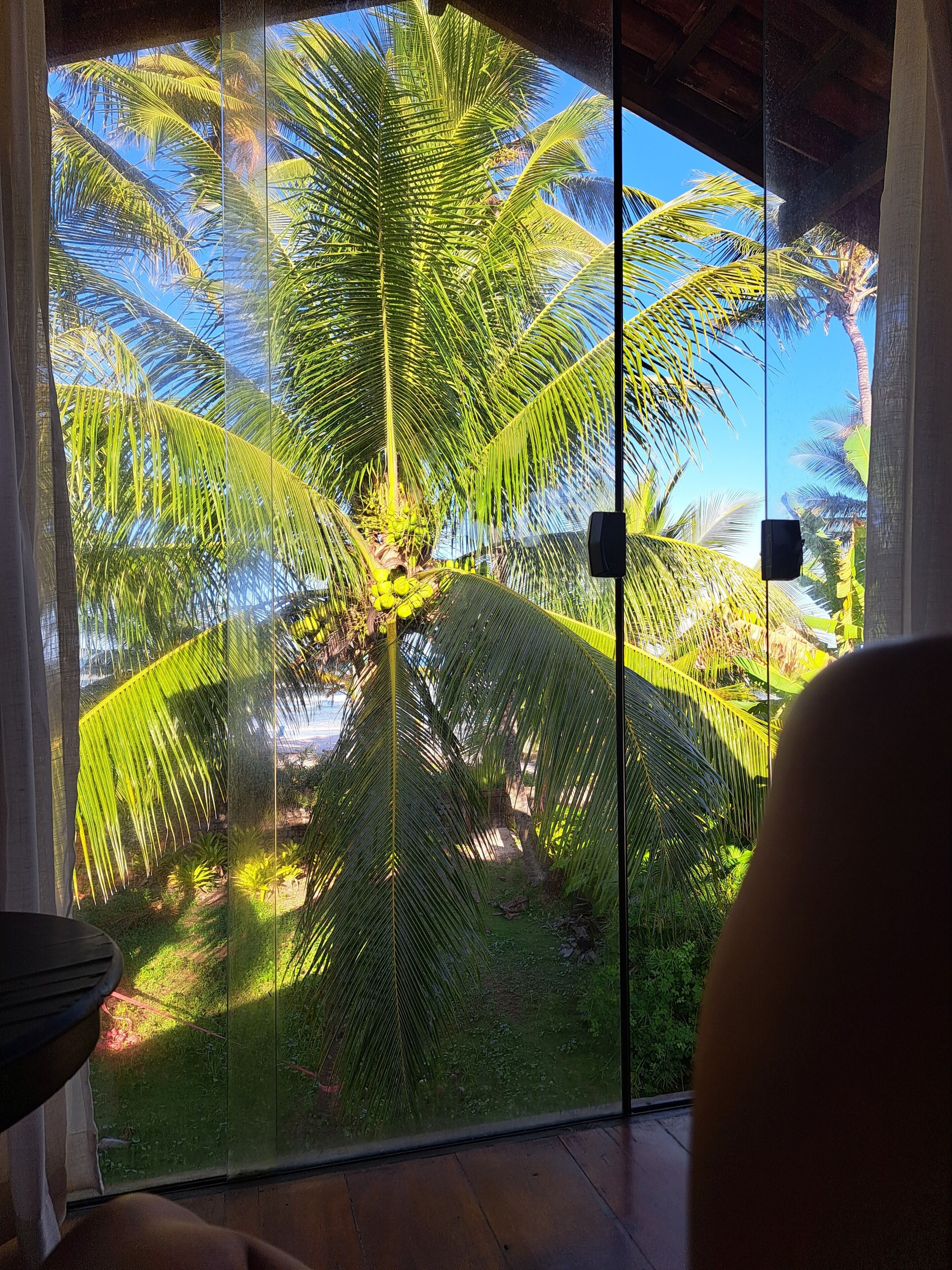 Una habitación con un gran ventanal que da a un jardín tropical con palmeras y un cielo azul despejado.