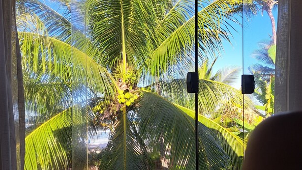 Une pièce dotée d’une grande porte vitrée donnant sur un jardin tropical, avec des palmiers et un ciel d’un bleu éclatant.