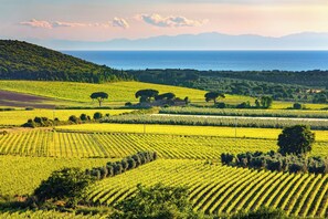 Imagen sin descripción, 3 de 22, botón