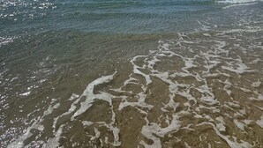 A beach scene with clear skies and calm waters, labeled "Gorgeous Winter days at Waddy Point". - Ocean View Holiday Home Orchid Beach | Phippsy's On Fraser | Sleeps 20 people! (K'gari)