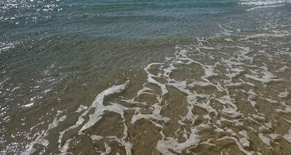 Ocean View Holiday Home Orchid Beach | Phippsy's On Fraser | Sleeps 20 people!