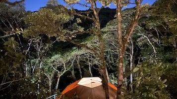 住宿正面 (夜晚)