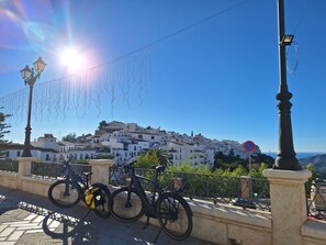 Property grounds - Casa Paqui: Charming Escape: Andalucian Villa with Private Pool near Frigiliana (Frigiliana)