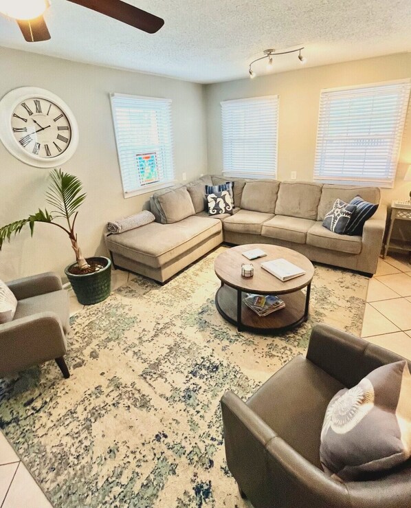 Smart TV, fireplace, books