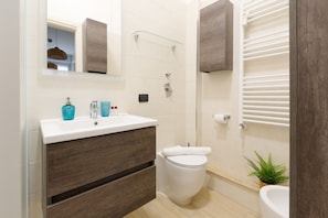 Shower, hair dryer, bidet, towels