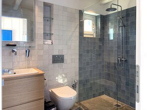 Chuveiro, secador de cabelo, toalhas de banho, sabonete