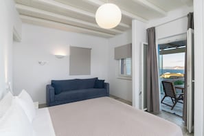 A bedroom with a large bed, a sofa, a ceiling light, and a view of the outdoors.