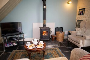 Fireplace, DVD player - The Coach House, New Quay (Cross Inn)