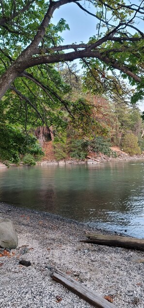 Orilla de río con piedras y un tronco de árbol caído.