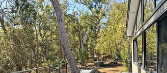 Springdale Gums: Denmark Forest Retreat