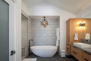 Shower, hair dryer, shampoo