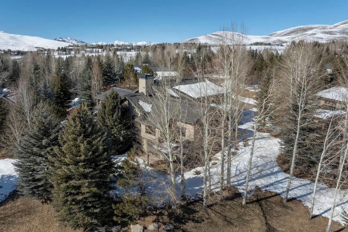 Un quartier résidentiel avec des maisons entourées d’arbres et, au loin, des montagnes enneigées.