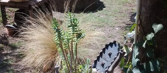 Mendoza Leisure Time Guest House Chacras de Coria