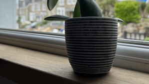 A potted plant on a windowsill with a view of buildings in the background.