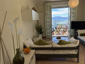 TV, DVD player - Miralago apartment with amazing lake view in Stres (Stresa)