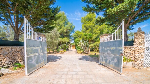 Un vialetto lastricato conduce a un cancello con un muro in pietra e alberi su entrambi i lati.