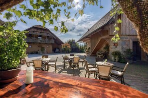 Outdoor dining - Apartment Doroteja, Ivančna Gorica, Slovenia (Ivancna Gorica)