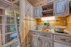 Fridge, stovetop, cookware/dishes/utensils