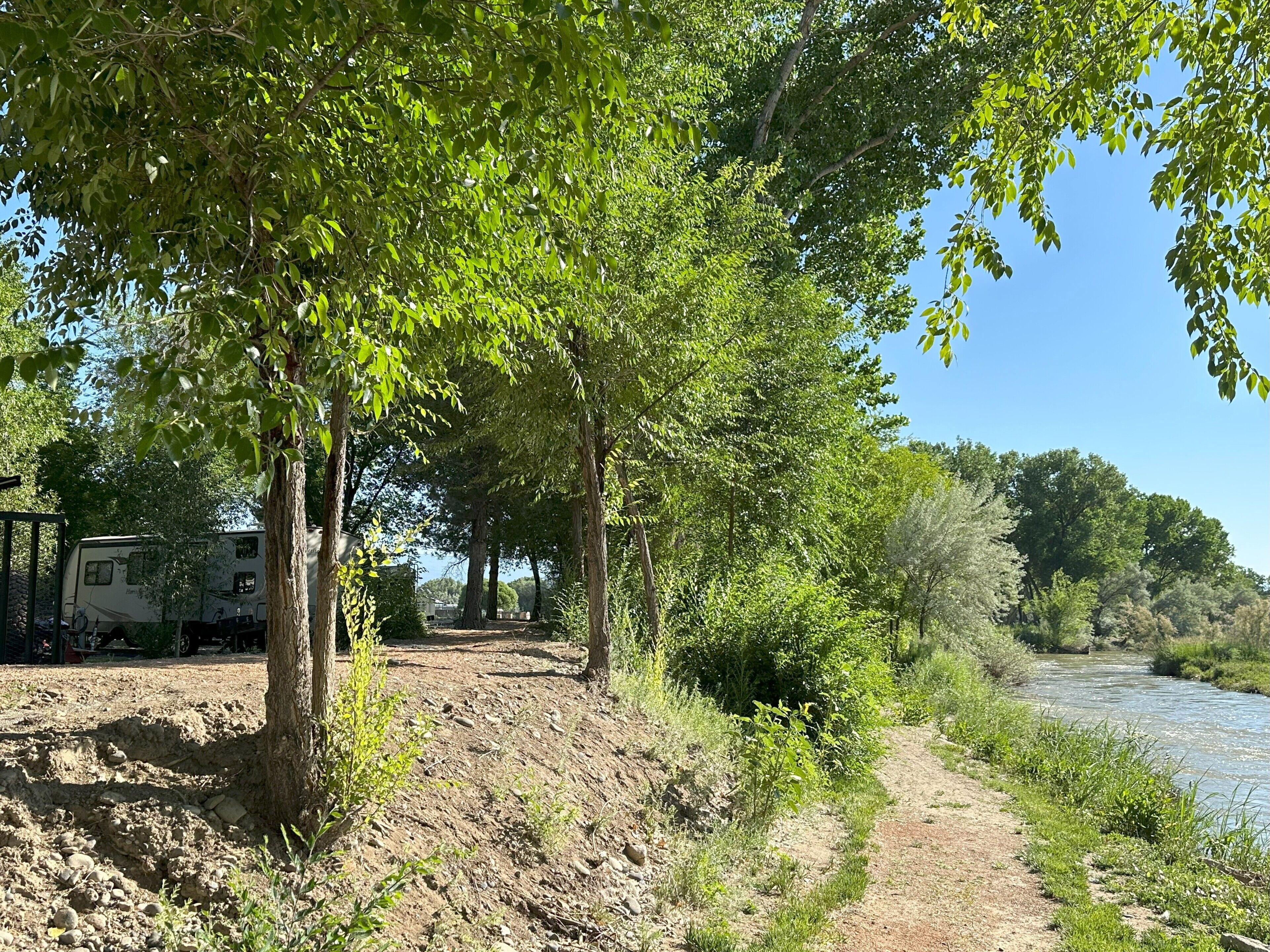 A campsite with a dirt path leading to a river, surrounded by trees and greenery.