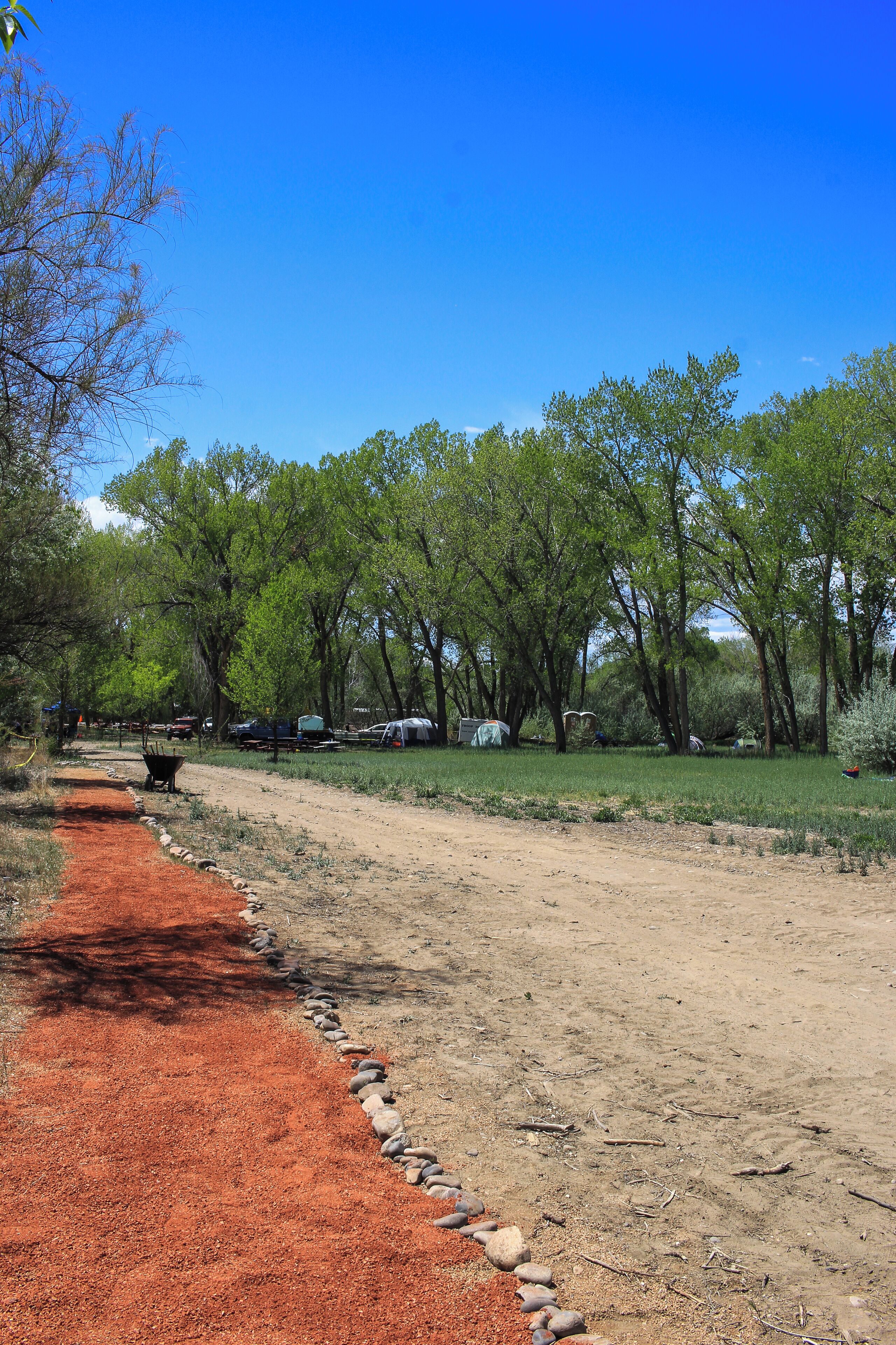 A dirt path bordered by red mulch and small rocks, leading through a wooded area with trees and a clear blue sky.