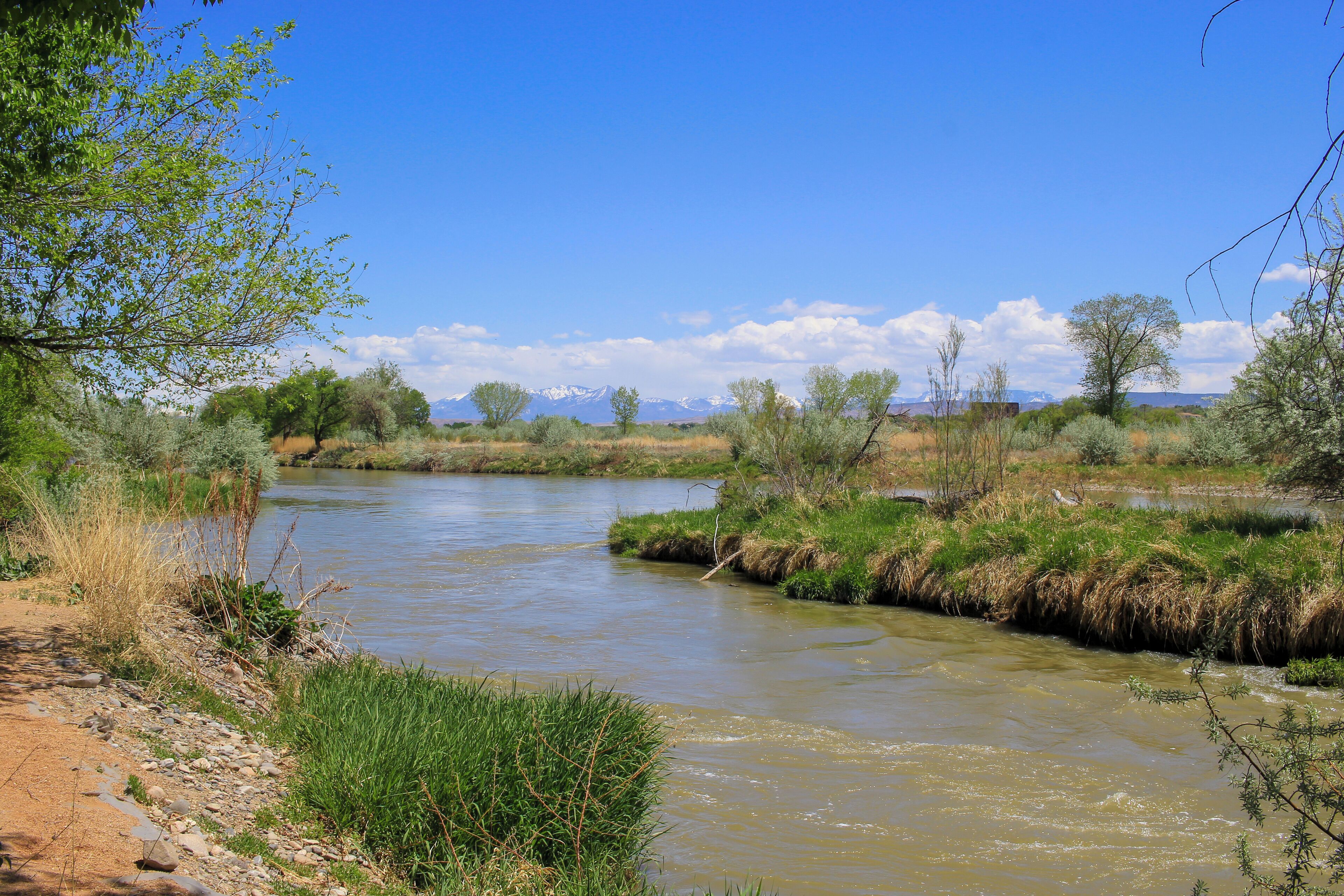 Un río rodeado de vegetación y un cielo despejado.