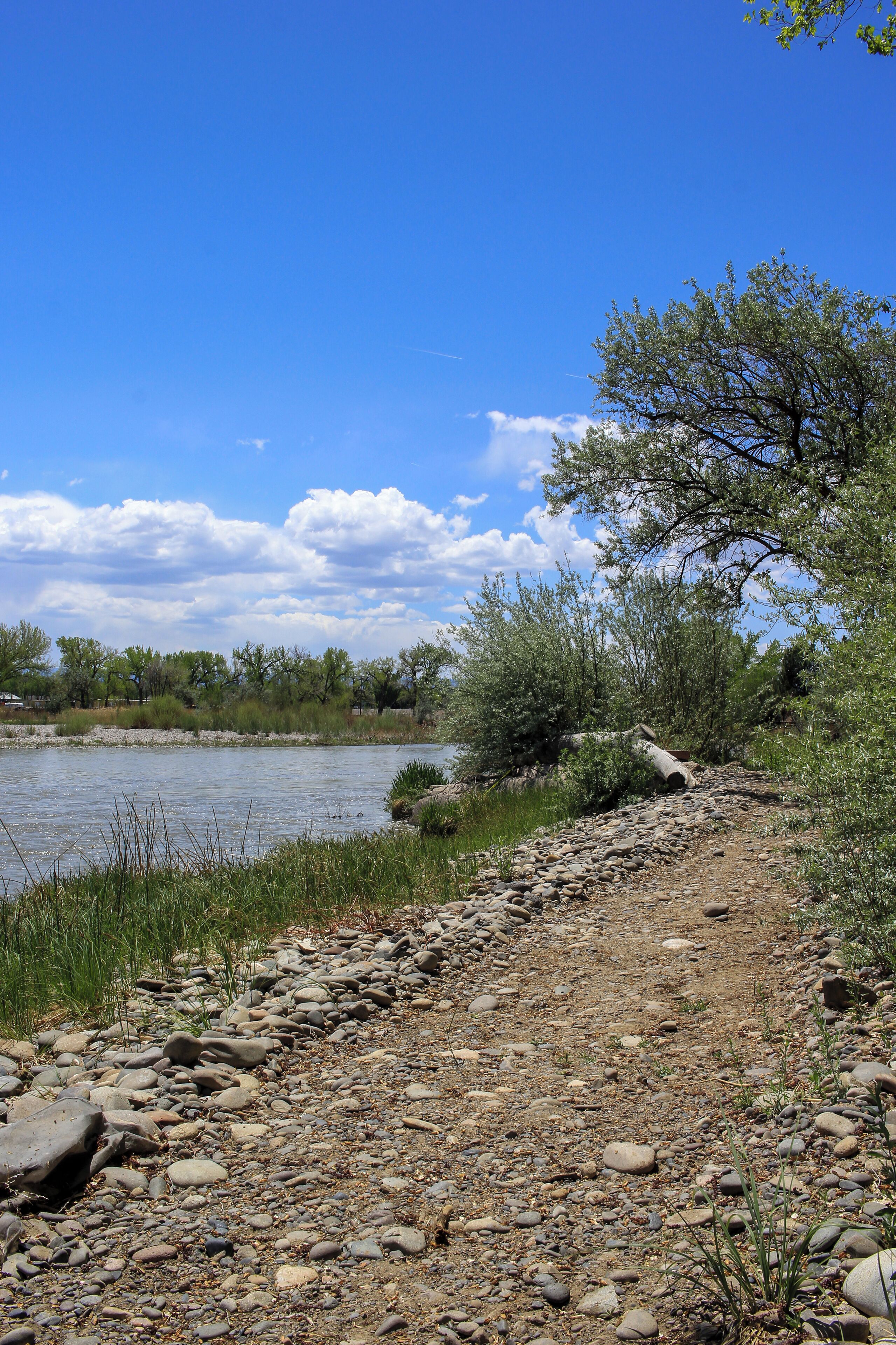 Un sendero pedregoso al lado de un río tranquilo, con árboles y cielo despejado.