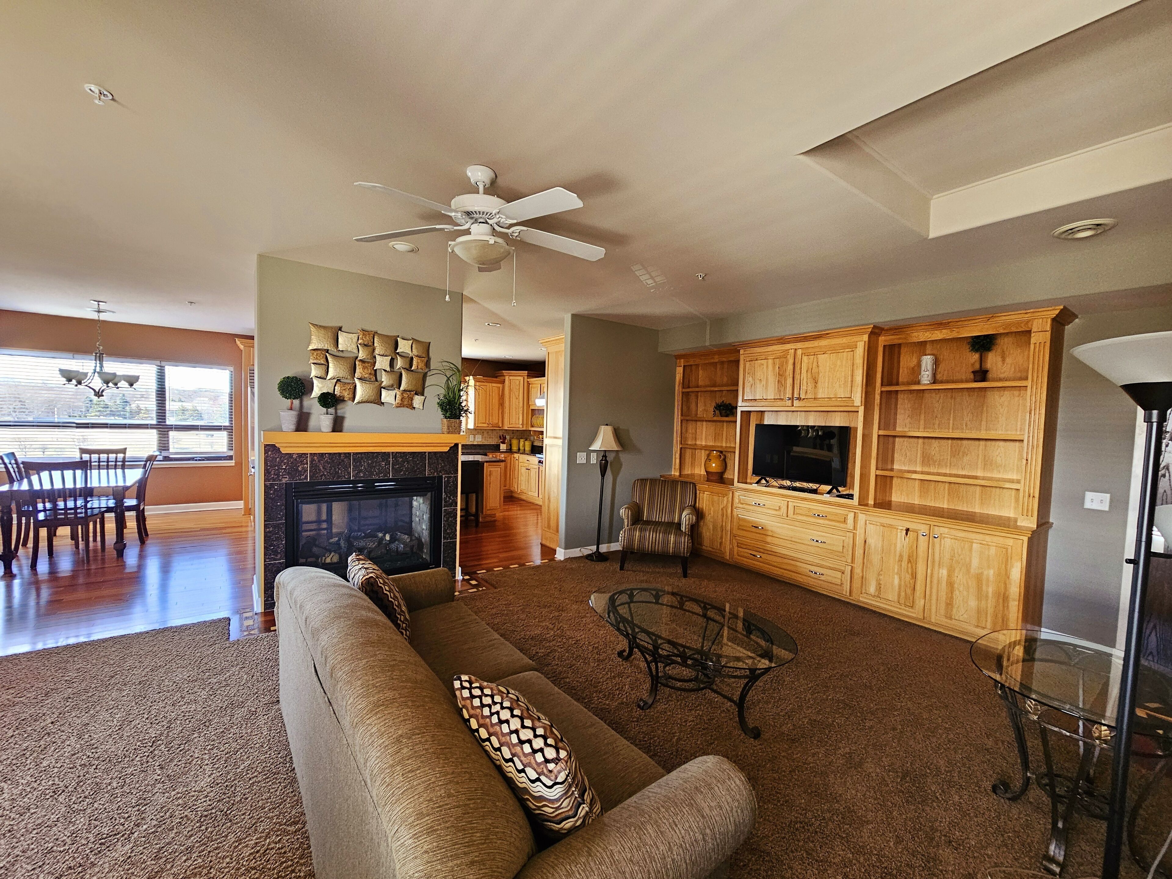 TV, fireplace, computer monitors, printers