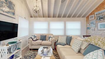 Televisión, chimenea, reproductor de DVD y libros