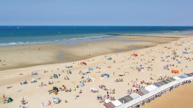 A wide beach with numerous sun loungers and umbrellas, a clear sky, and a calm sea.