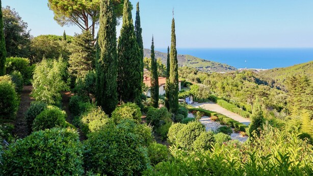 A lush garden with tall cypress trees and a variety of shrubs, leading to a coastal view.