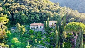 A house surrounded by a well-maintained garden with various trees and shrubs.