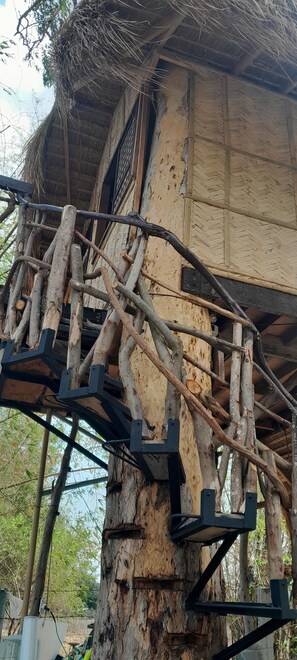 Exterior detail - Cozy Treehouse Stay on a Peaceful Zambales Farm near Mapanuepe Lake (Castillejos)