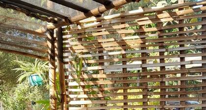 Traveler's Treehouse near Mapanuepe Lake