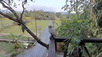 A wooden bridge with a bird perched on a post, surrounded by greenery and a rural landscape.