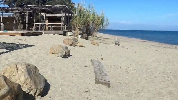 Una playa con una estructura de madera, rocas grandes y un cielo azul claro.