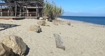 La tranquillité bleue en famille en tout compris