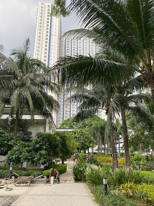 A pathway lined with palm trees and greenery, leading to a building with multiple floors and balconies.
