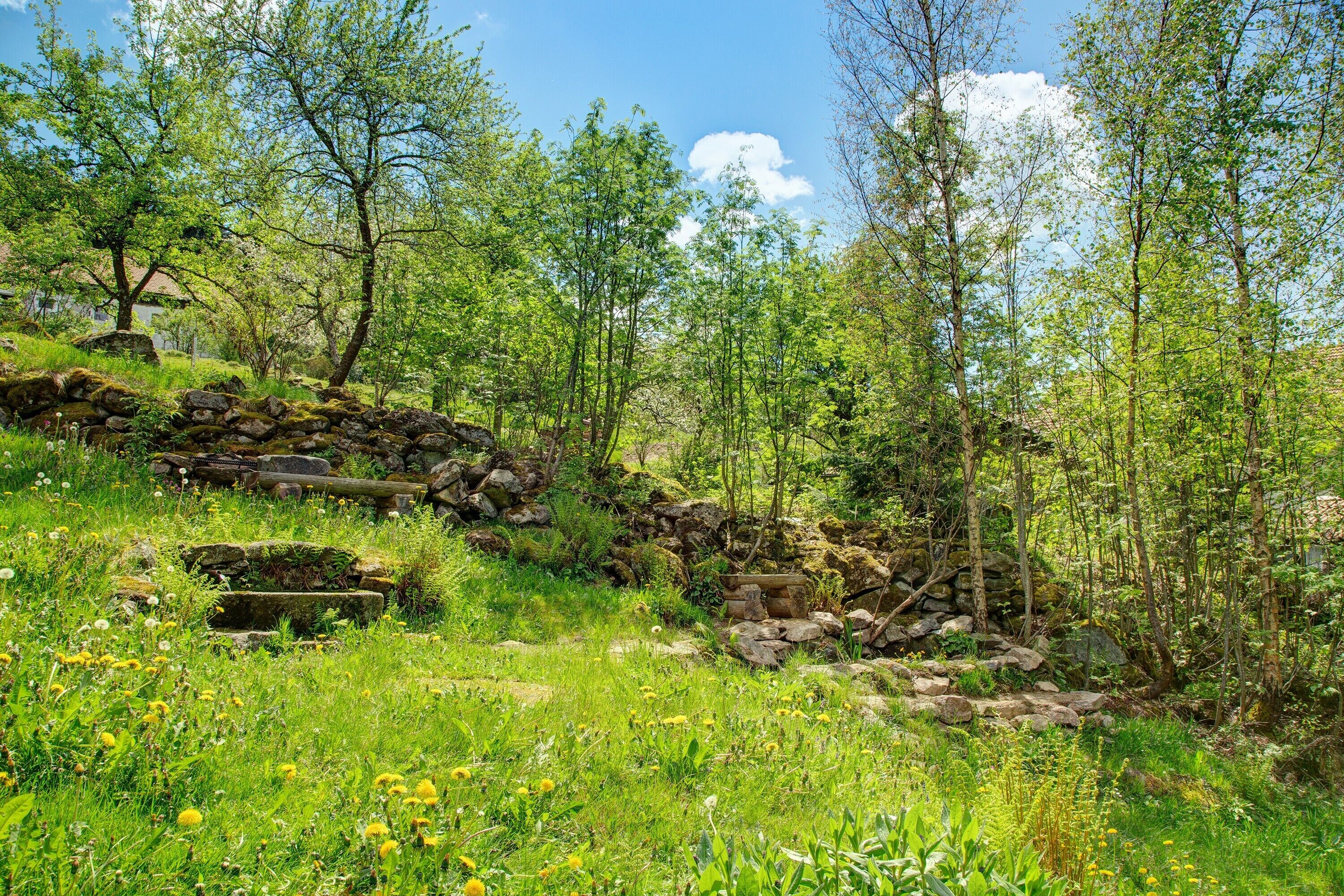 Terrein van de accommodatie