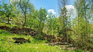 A natural landscape with trees, rocks, and wildflowers. - Holiday Home 'Berghütte Waldhäuser' with Mountain View, Private Terrace and Wi-Fi (Neuschönau)