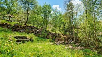 Terrein van de accommodatie