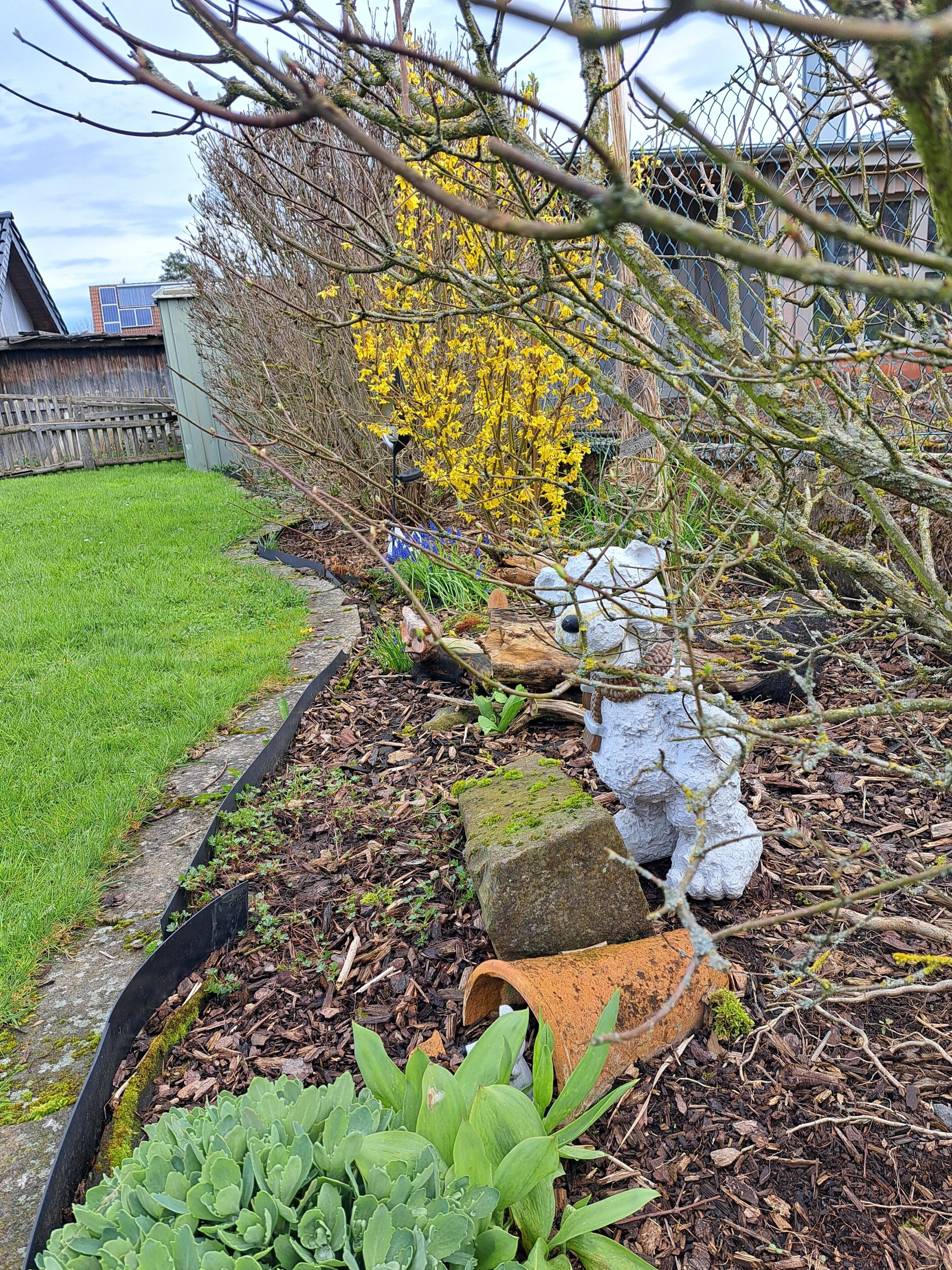 Ein Garten mit vielfältigen Pflanzen, einem Kiesweg und einem Zaun.