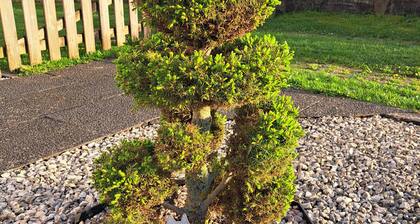 Pension Andrea: Ferienwohnung 1 mit privater Terrasse und WLAN