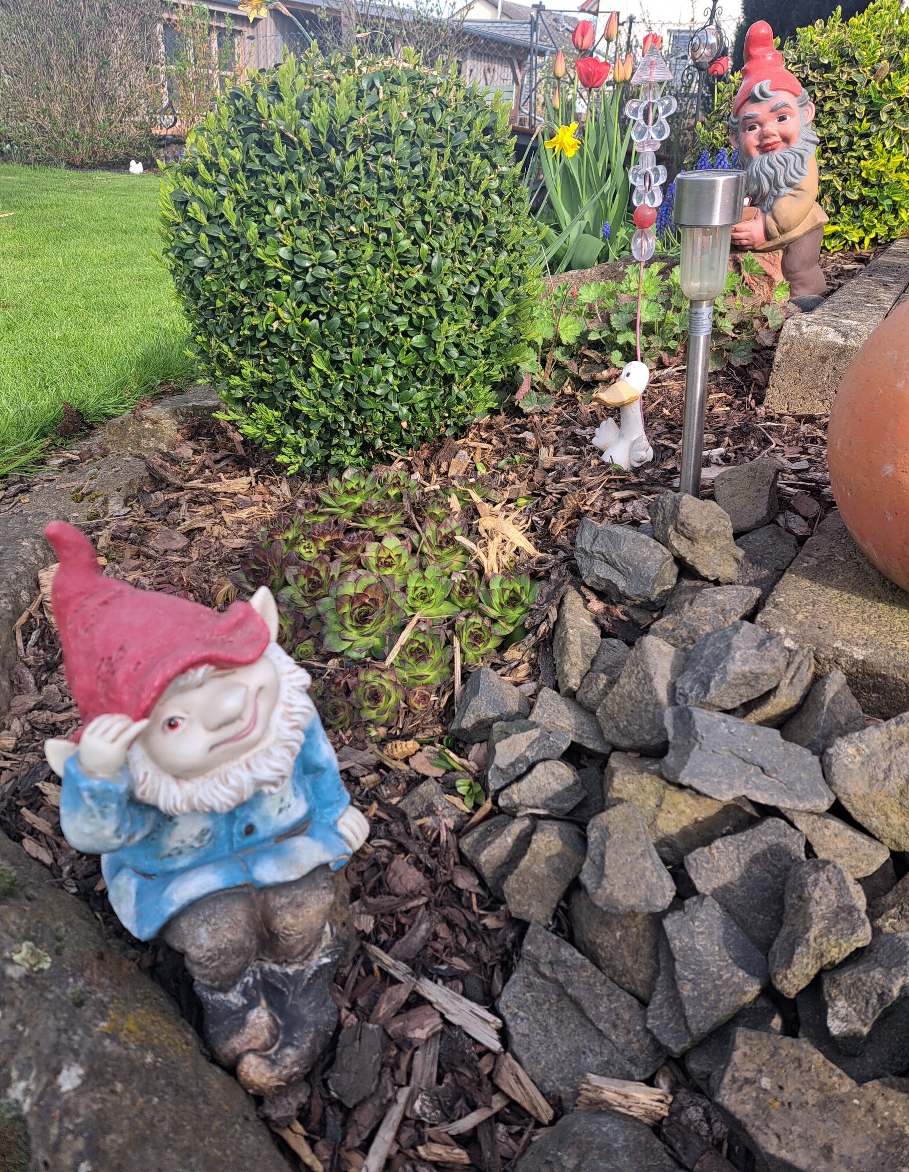 Un jardín con estatuillas decorativas de gnomos, un comedero para pájaros y un regador metálico.