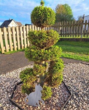 A bonsai tree with a unique tiered structure, surrounded by a gravel bed, with a wooden fence and houses in the background.