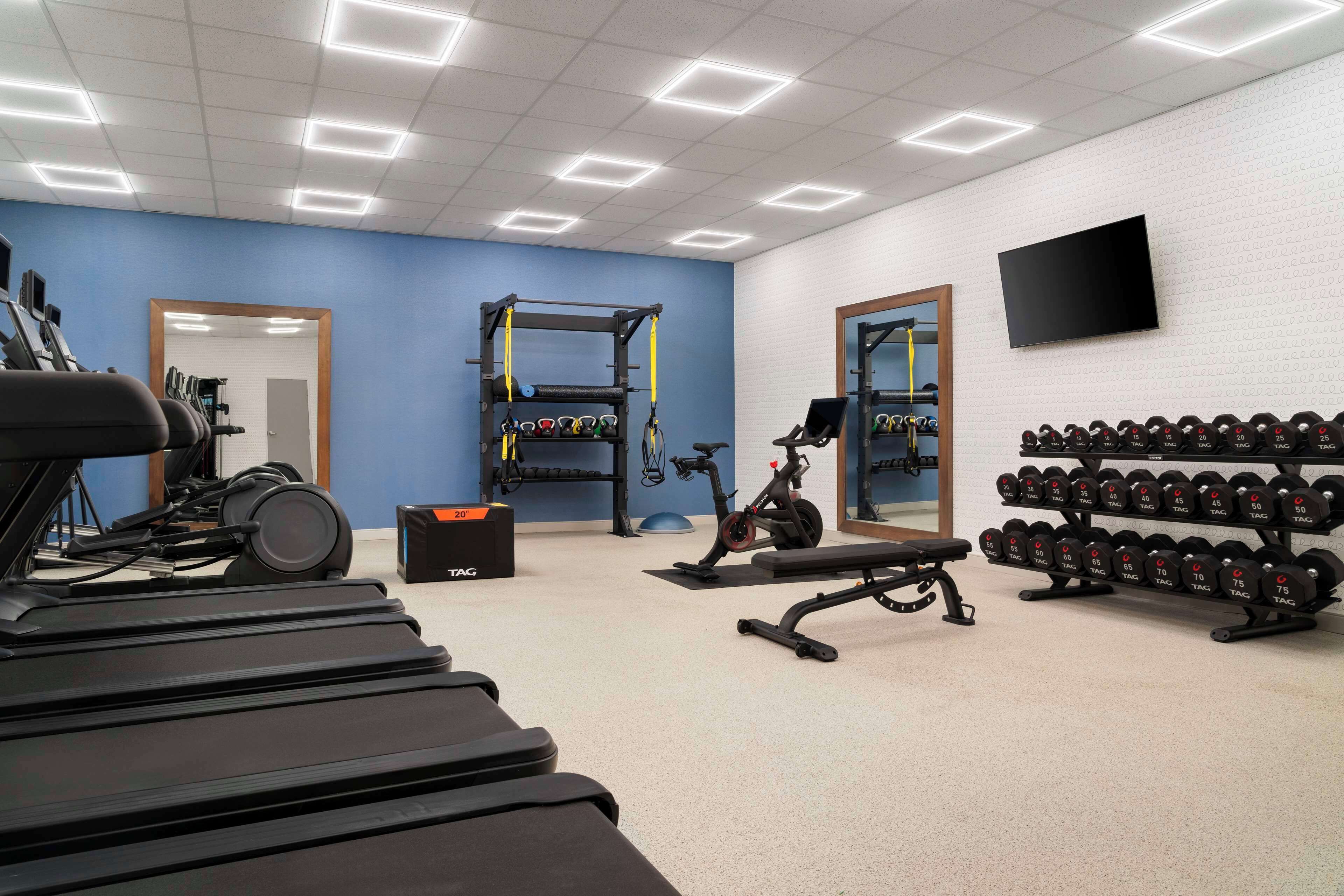 A gym with treadmills, a stationary bike, a rowing machine, and a rack of dumbbells.