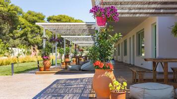 Teras/patio