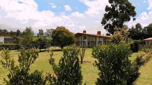 Property grounds - Nispero Cabin | Nature Retreat, 1 Bedroom (La Mesa)