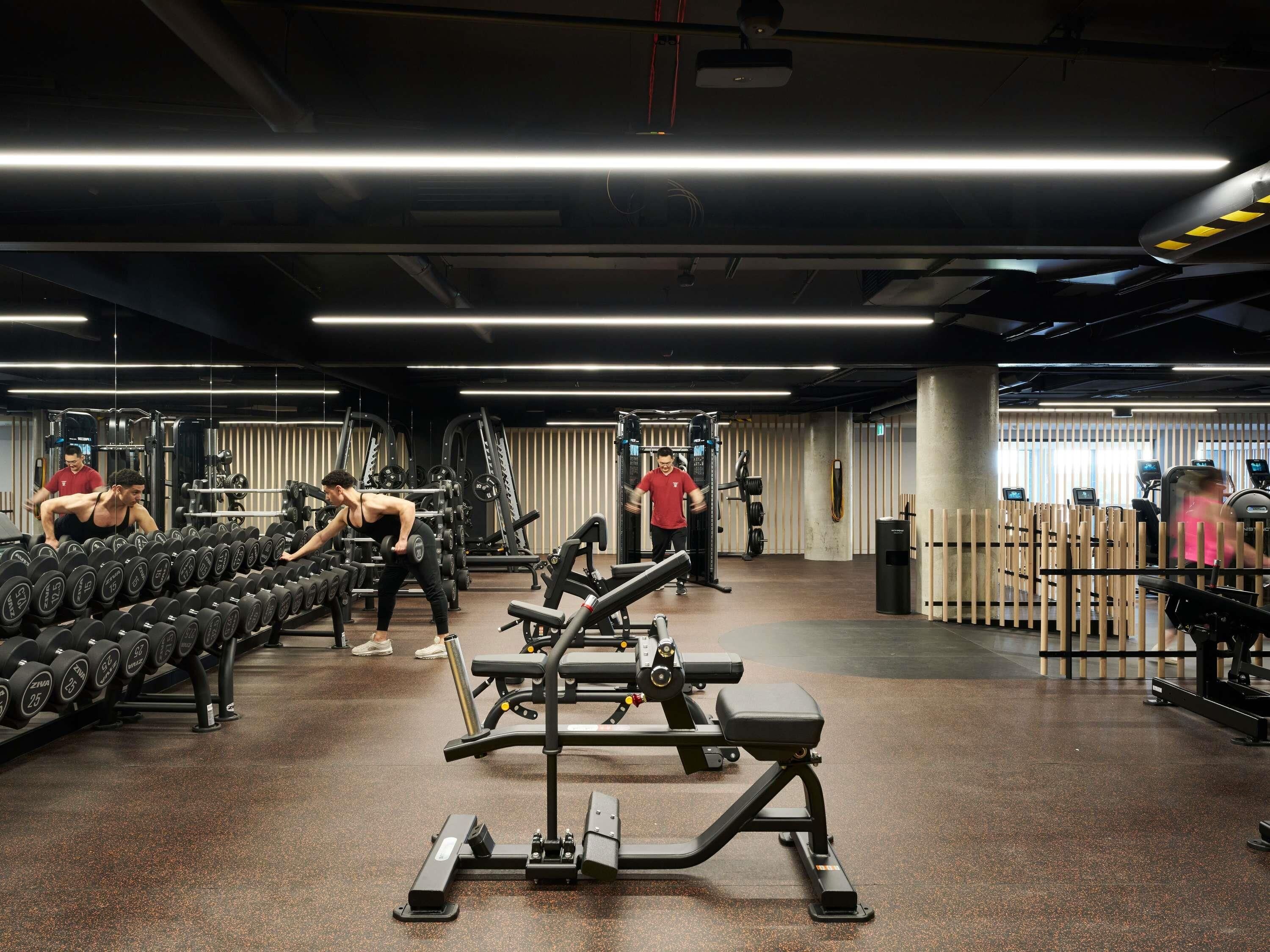 Uma academia com diversos equipamentos de exercícios, incluindo halteres, bancos e máquinas de musculação.
