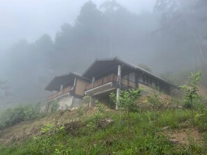 Exterior - MOMO ELLA (Ella)