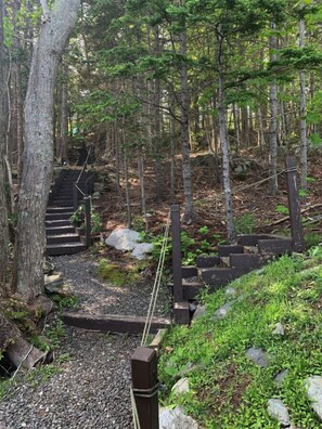 Property grounds - Sweet cottage on the water with amazing views! (East Boothbay)